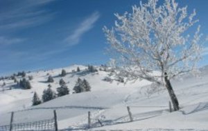 Parcours dans les neiges du Jura