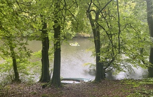 Marche rapide : Fresney le Puceux - Forêt de Cinglais