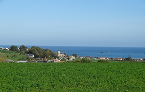 Asnelles -  Ryes- Dans la vallée de la Grone